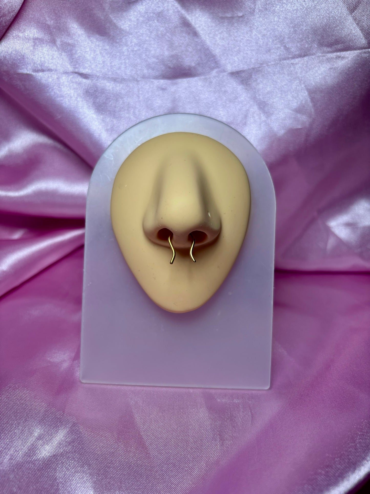 Horseshoe septum