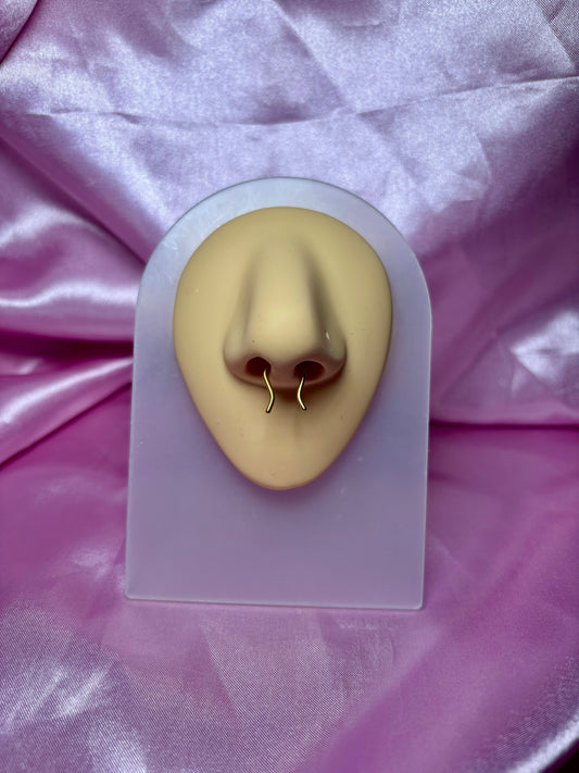 Horseshoe septum